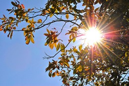 Photo: Ronnie Puckett / Flickr