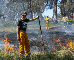 Supporting the re-emergence of cultural burning