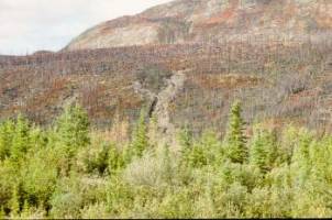 Sussex wins funding to bring environmental research back down to earth