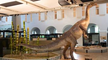Swiss Dinosaur Skeleton to Become Museum's Latest Showpiece
