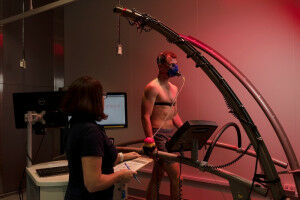 Sydney continues to excel in global impact rankings