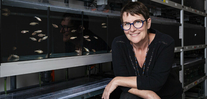 Sylvie Rétaux posing in front of an aquarium filled with blind Mexican tetras at