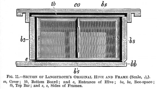 Lorenzo Langstroth&rsquo;s moveable frame hive incorporated 