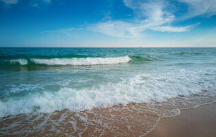 The BlueGreen Governance project is discussed at the Oceanogr�fic