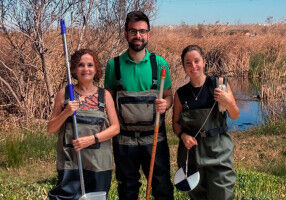 The constructed wetlands of La Pipa and L'Illa reduce pesticide and heavy metal pollution in the Albufera of Valencia