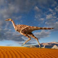 The first single-fingered dinosaur