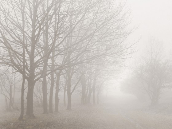 Foggy scenery in autumn 
		 &copy; Colourbox.de