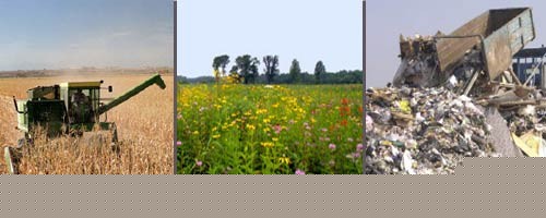 The pluses and (mostly) minuses of biofuels