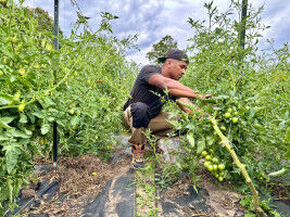 The power of food: Ontario Tech supports community effort to fight food insecurity