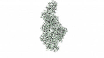 The protein that revolutionized DNA sequencing