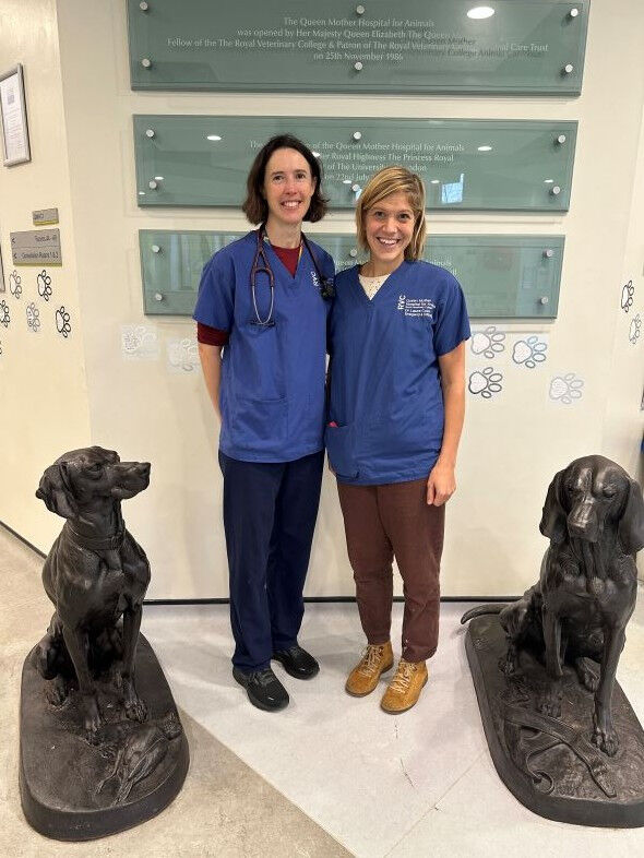 Health - Dr Laura Cole, Lecturer in Emergency and Critical Care and Rosanne Jepson, in Small Animal Nephrology and Internal Medicine (Photo Credit: The Royal Veterinary College) Health