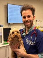 The RVC launches new Renal Recovery Clinic to support dogs recovering from acute kidney injury