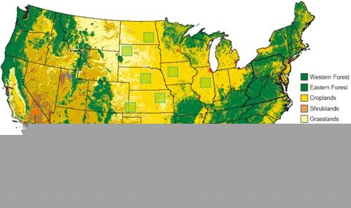 In order for
			        plastic solar cells with 8% efficiency to supply
			  