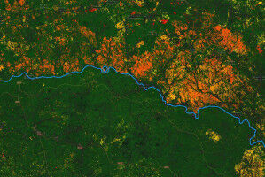 The Two (Country) Sides of Forests