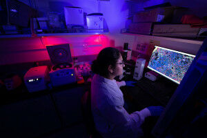 The UCLA Research Park: Immunology and immunotherapy