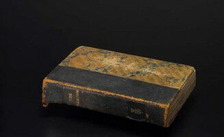 There's a vampire in the library