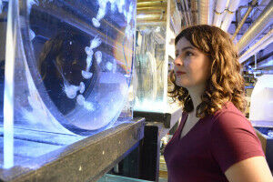 This scientist is taking an international jellyfish tour to explore mucus and medusae