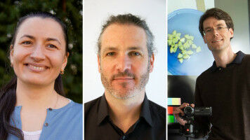 Three ERC Grants for the University of Bonn at once