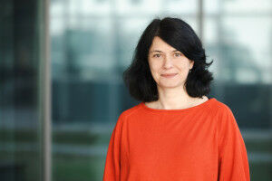 Three Faculty Promotions in 2024