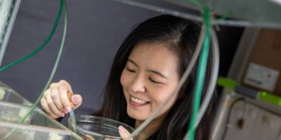 Tiny animals with surprising characteristics