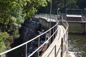 Tour outlines shared challenges to San Francisquito Creek watershed