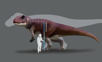 Tracking Australia's gigantic carnivorous dinosaurs