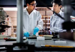 Transparent silver: Tarnish-proof films for flexible displays, touch screens, metamaterials