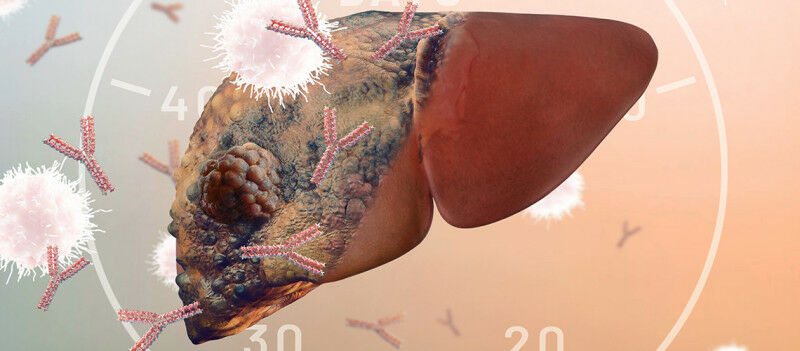 © Veronika Mertens de Mertens Design Lab