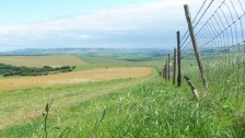 A path on the South Downs Way in Sussex Credit: Simon Crowhurst