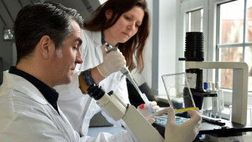 Treating chronic inflammation with approaches from nature