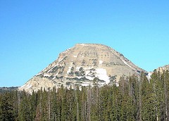 Credit: Nation Parks Service 						 The treeline on Bald Mountain in Utah.