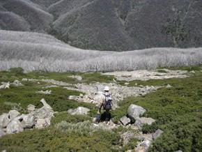 Matthew Brookhouse is collecting alpine tree-ring samples to build a climate rec