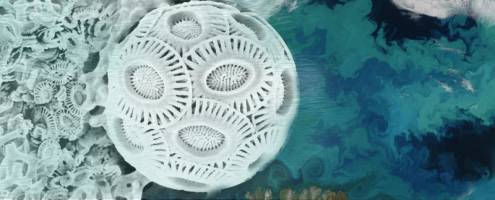 Trials (and Tribulations) at Sea Can't Keep Carbon Explorers on the Beach