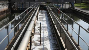 Turning wastewater sludge into energy and mineral salts