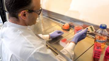 Two Decades of Swiss Leadership for New Malaria Medicines