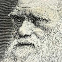 Photograph of an engraving of Charles Darwin, whose work inspired both Professor