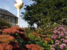 U of M researchers contribute to global plant database that will expand research on ecosystems and climate change