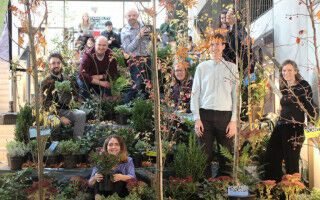 UCL ranked in top 10 in UK university 'green' league