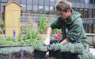 UCL retains First-Class status in University 'Green' League