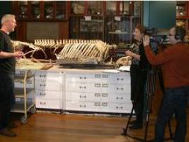 UCL YouTube Channel Reaches One Million Views