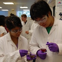 Students from Japan and the UK participate in scientific experiments at the lab 