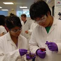 UK-Japanese young scientists working together; a Cambridge first