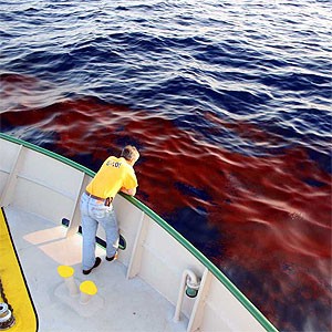 The University of Miami&rsquo;s 96-foot catamaran the RV/F.G. Walton Smith had j