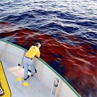 UM/CIMAS and NOAA/AOML Scientists Locate Oil Plume