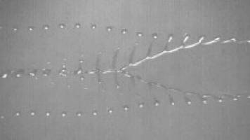 Under the Microscope #11 – Jet streams