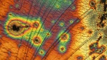 Under the Microscope #7