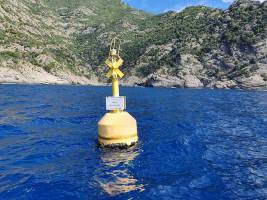 Underprotected marine protected areas in a global biodiversity hotspot