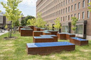 Université de Montréal decides to keep the name of Pavillon Lionel-Groulx