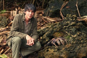 Brian Cox, Robber Crab, image copyright BBC