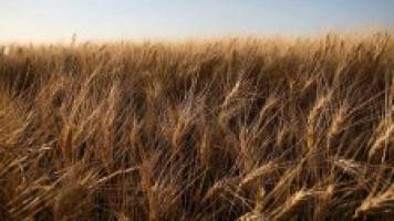 Unlocking the agricultural economics of the 19th century